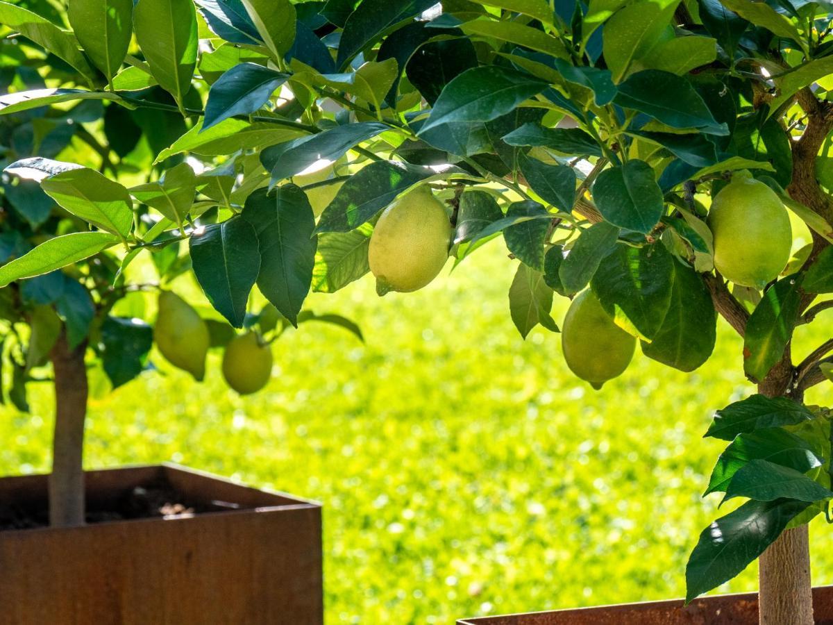 Gartenheim Tramin Termeno Exterior foto